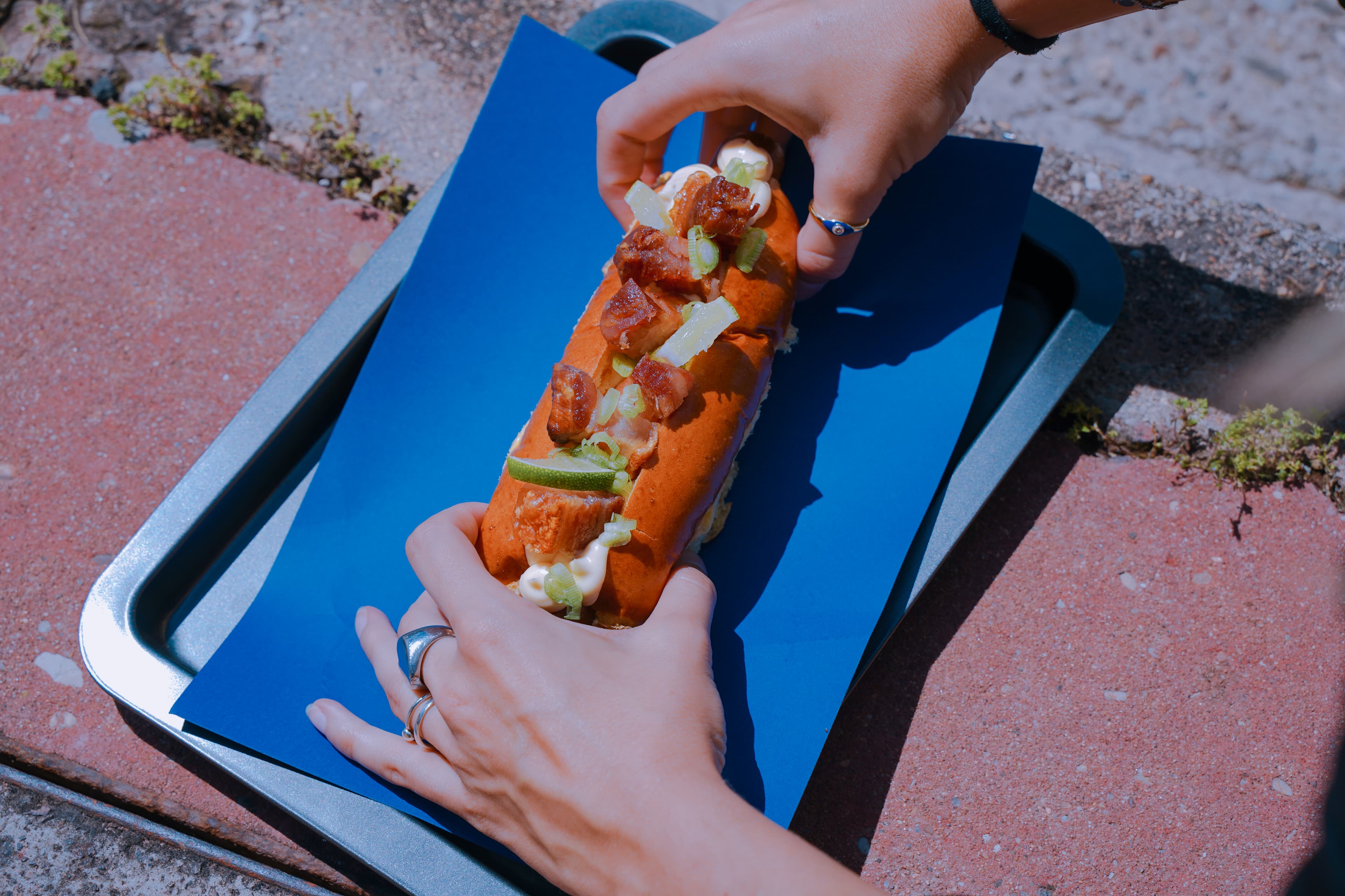Food Truck Sr.Perrito